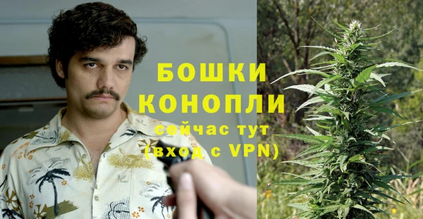 молекула духа Нягань