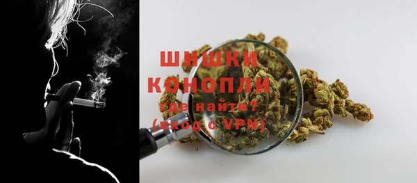 молекула духа Нягань